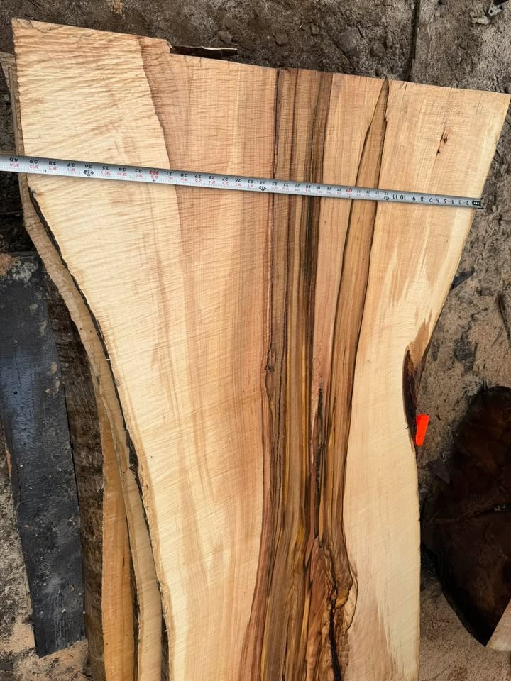 Silver Maple Live Edge Sawmill Slabs - Image 2