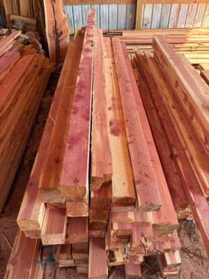 Eastern red cedar