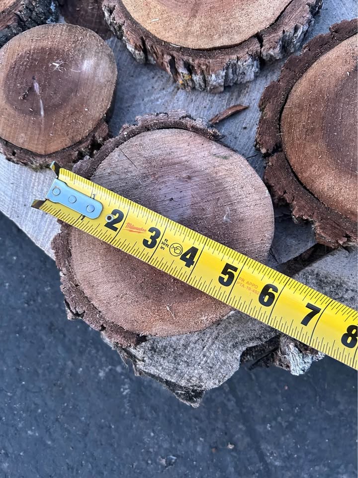 Live Edge Walnut Wood Cookie Rounds $2 each - Image 9