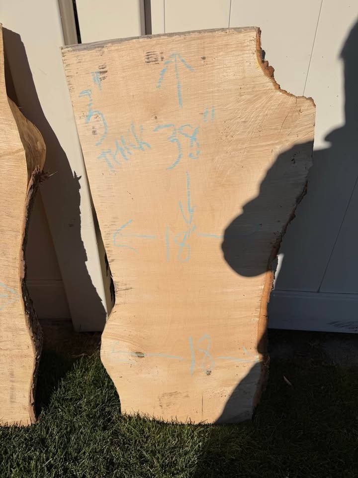 Live Edge Maple Wood Slab 38" x 20" - Image 7