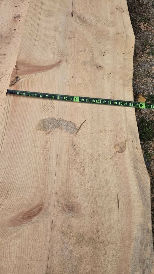 White pine slabs 3 inch - Image 2