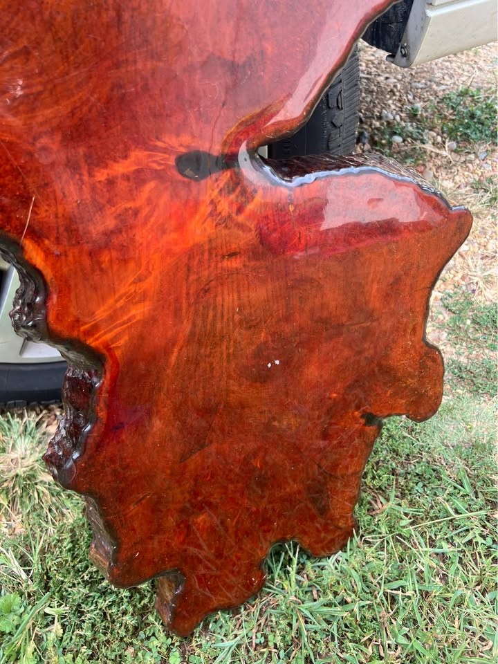 Large Live Edge Burl wood polished slabs - Image 5