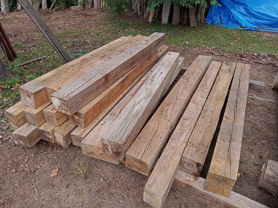 Yellow and white pine - Image 2