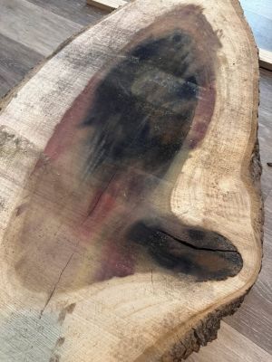 Rainbow Poplar Slab