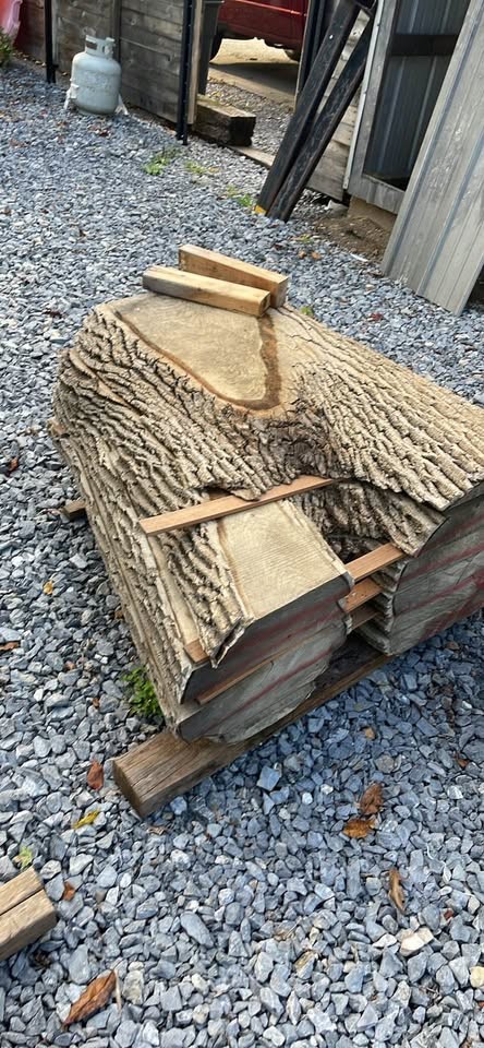 Live edge slabs - Image 4