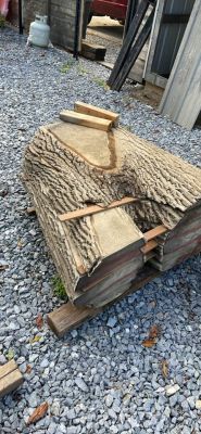 Live edge slabs