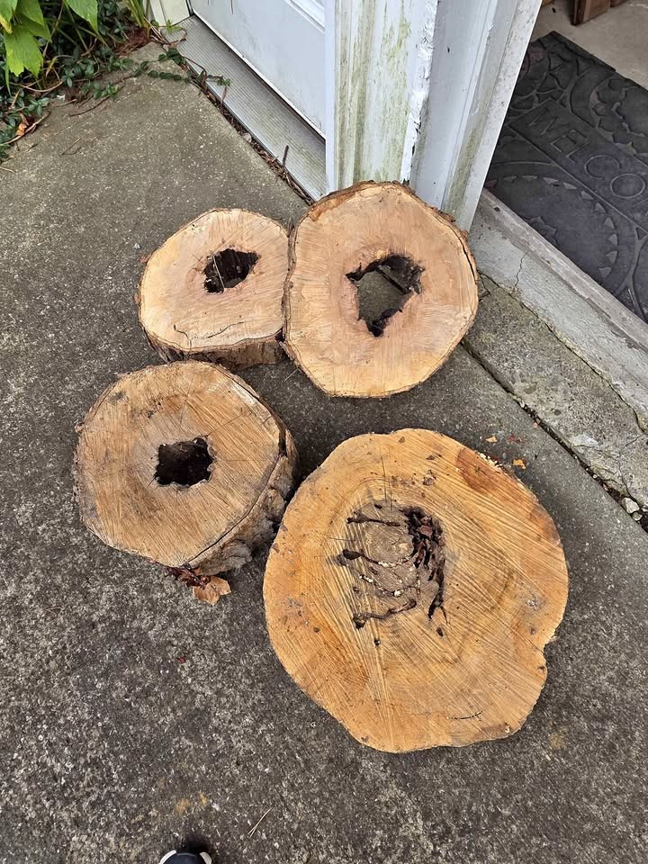 Maple Thick Rounds
