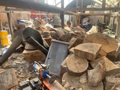 Sycamore Wood Rounds