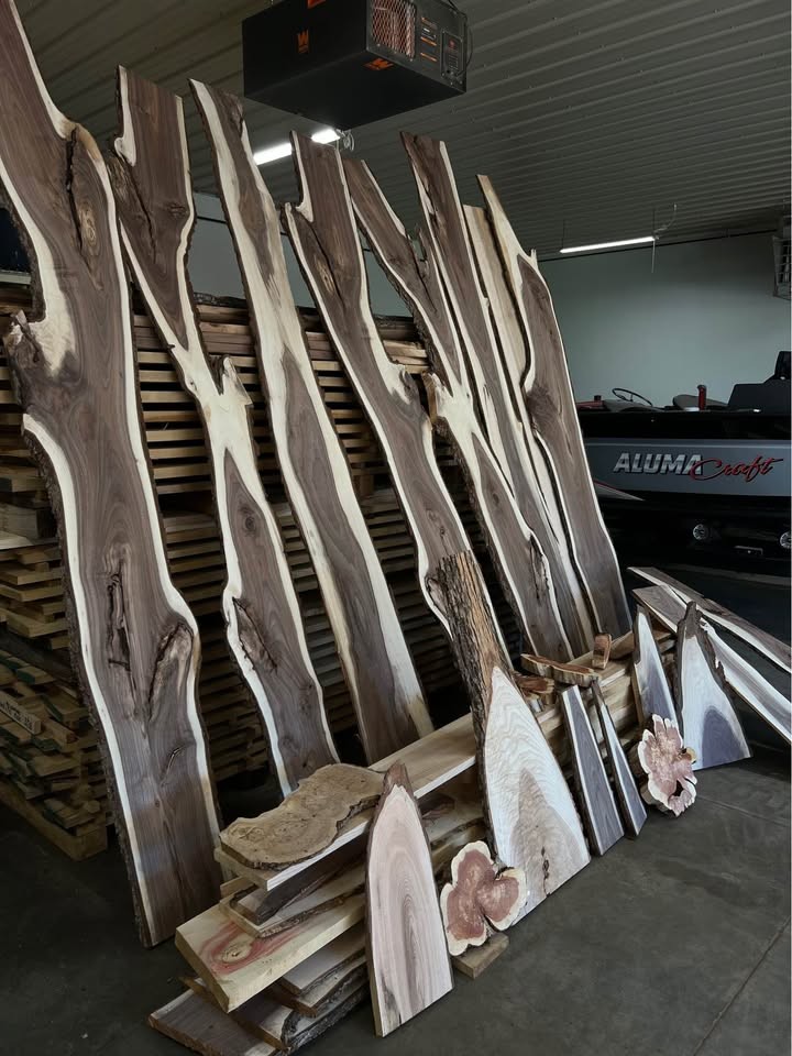 Walnut / Ash / Cedar -Hobby Wood - Image 3