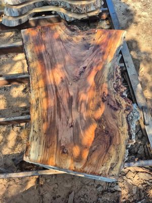 Live edge spalted pecan slabs
