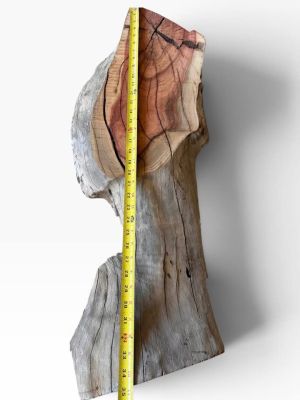 ???? Sculptural Pistachio Slab Live Edge, Wild Red Heartwood ????
