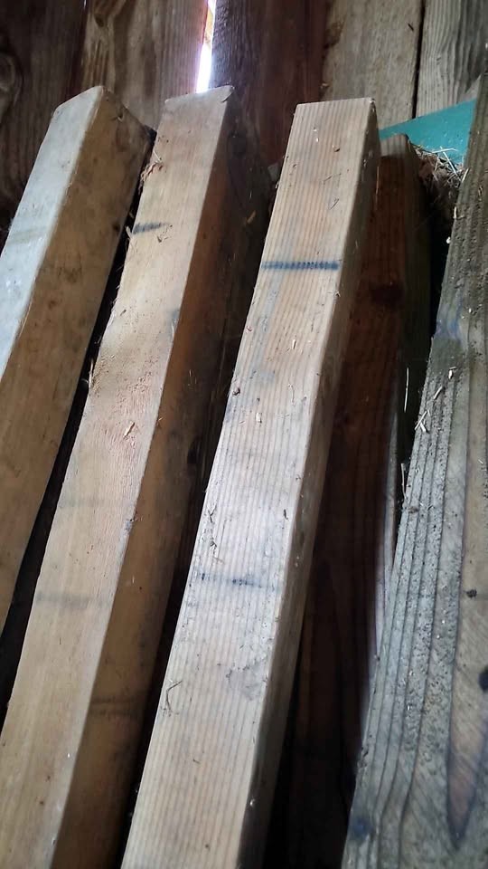 Assorted 4x8 posts 14 - Image 3