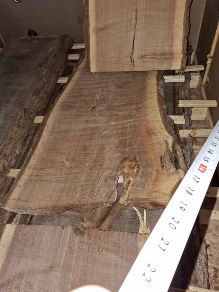 Live black walnut slabs - Image 1