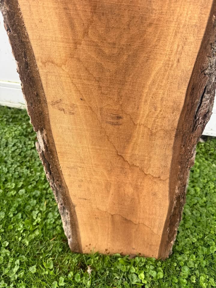 Black walnut slabs 6 feet ten boards - Image 3