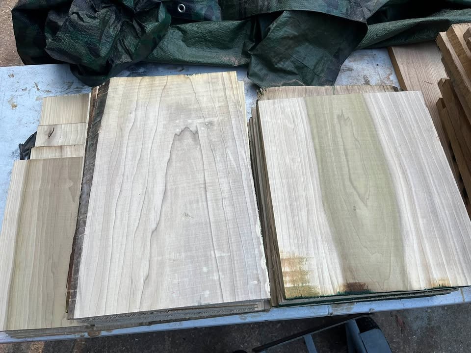 22 pieces of poplar board bundle (wider pieces) - Image 2