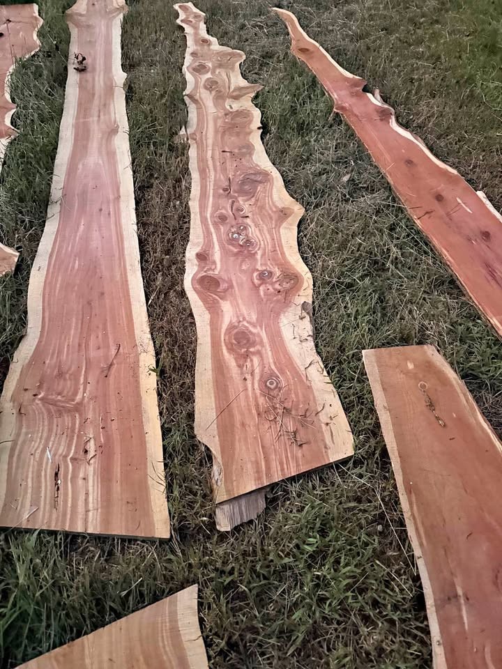 Live Edge Cedar Wood Slabs - Image 1