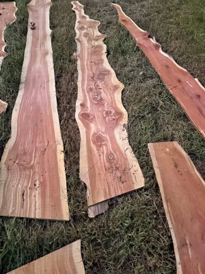 Live Edge Cedar Wood Slabs