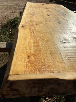 Live Edge Island/Counter/Table Top