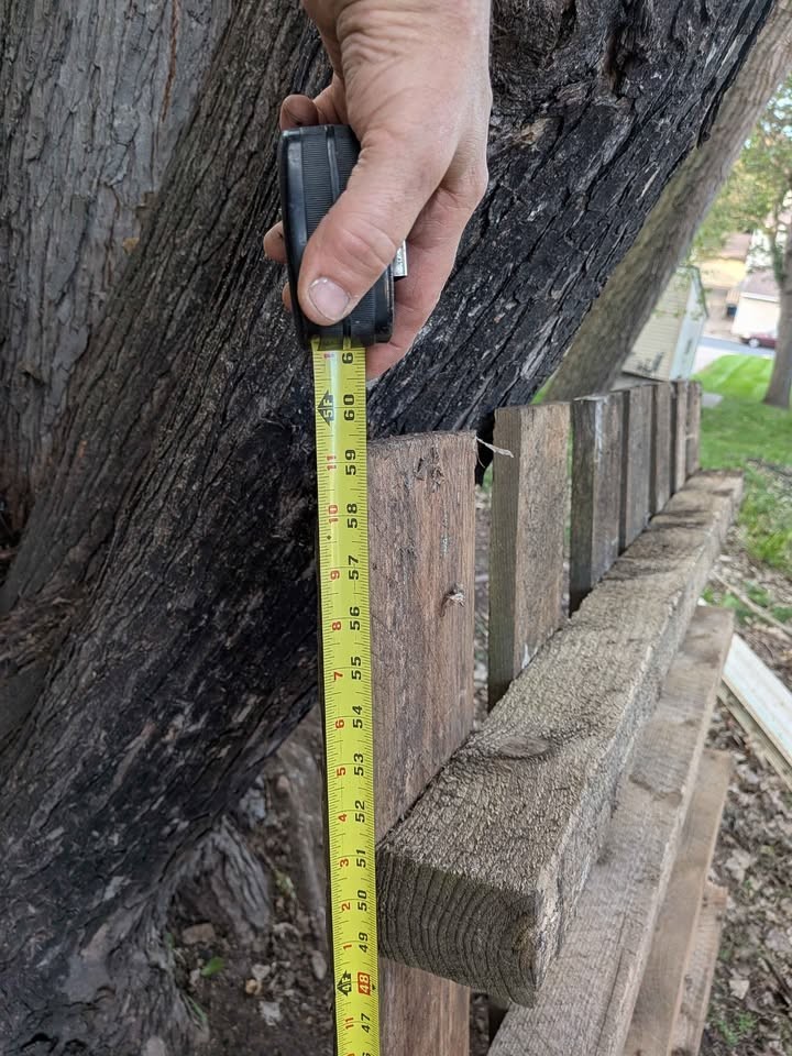 FREE Lumber - Image 5