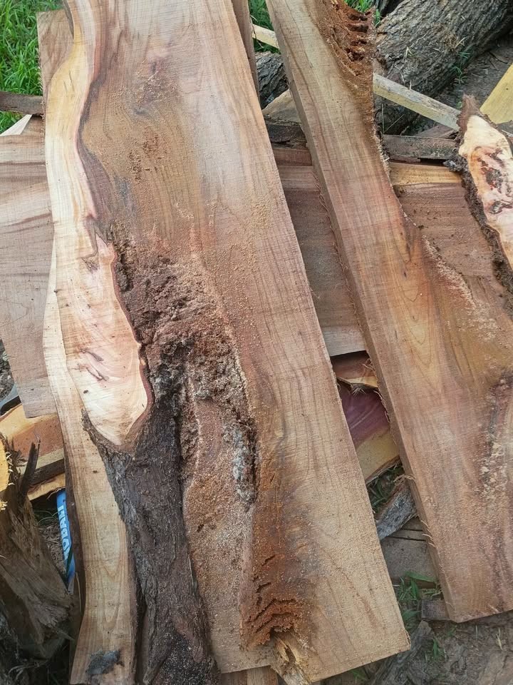 Wood slabs sale - Image 7