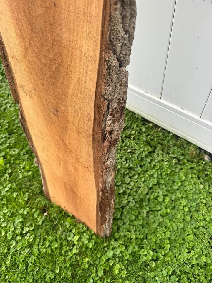 Black walnut slabs 6 feet ten boards - Image 2