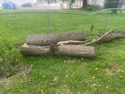 Walnut wood for sale