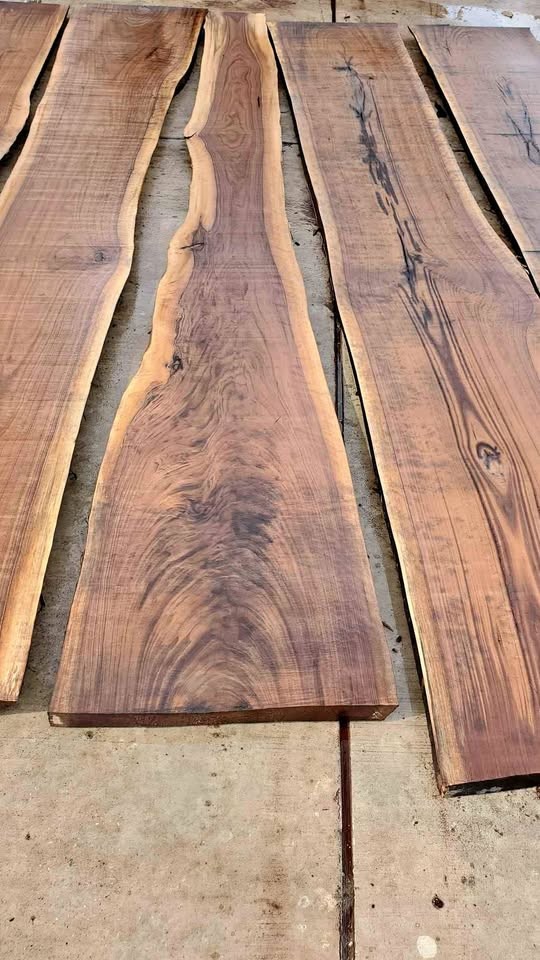 BLACK WALNUT WOOD TREES SLABS