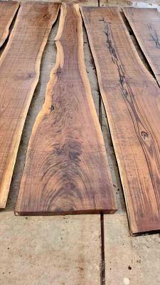 BLACK WALNUT WOOD TREES SLABS