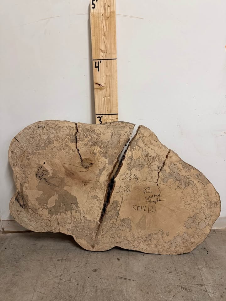 Hundreds of kiln dried & flattened wood slices - Image 4