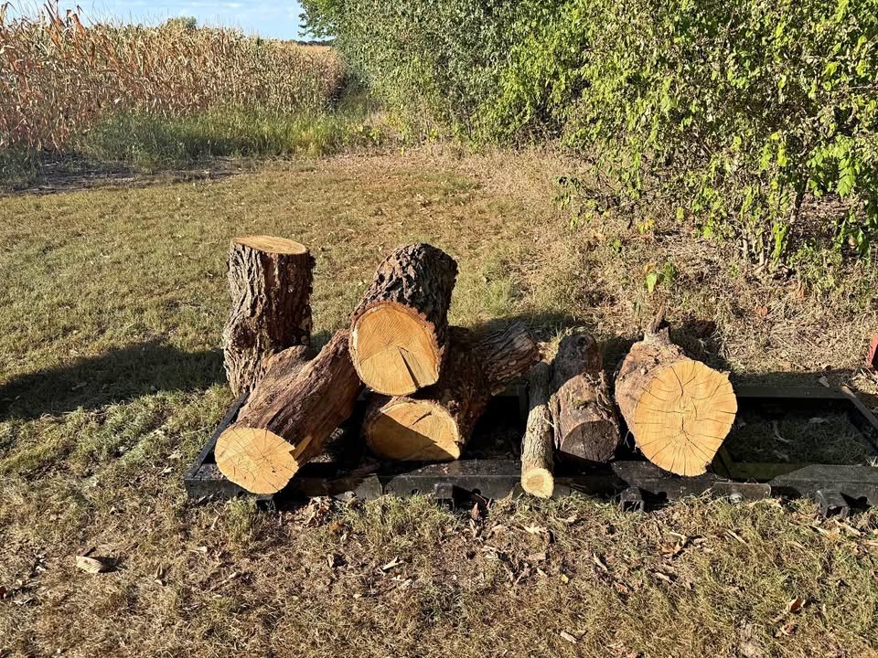 Wood - Image 1