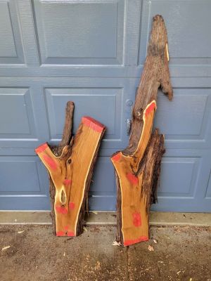 Russian Olive wood slabs, live edge