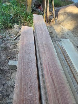 Red oak