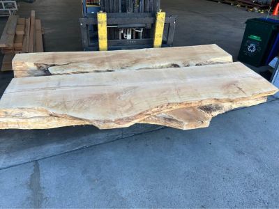 Live edge maple slabs