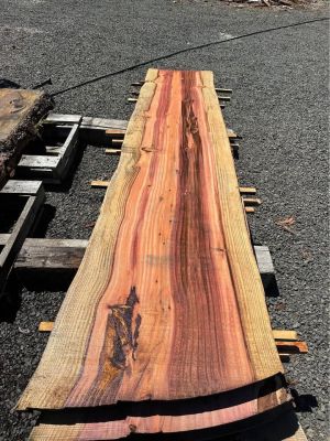 Sequoia Slabs