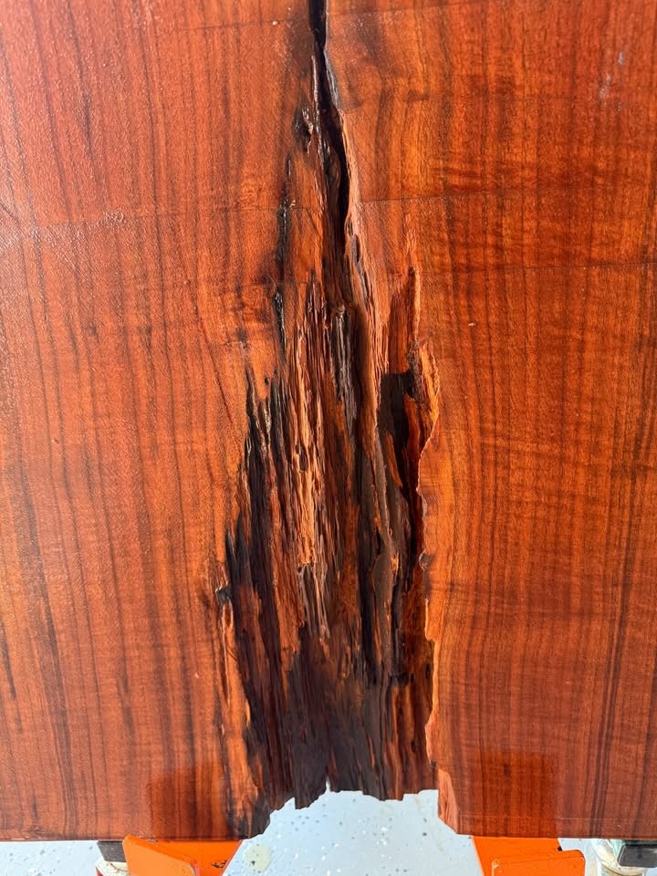 Live Edge Black Walnut Slab - Hit By Lightning - 2 1/2" thick x 46 1/2" long - Image 3