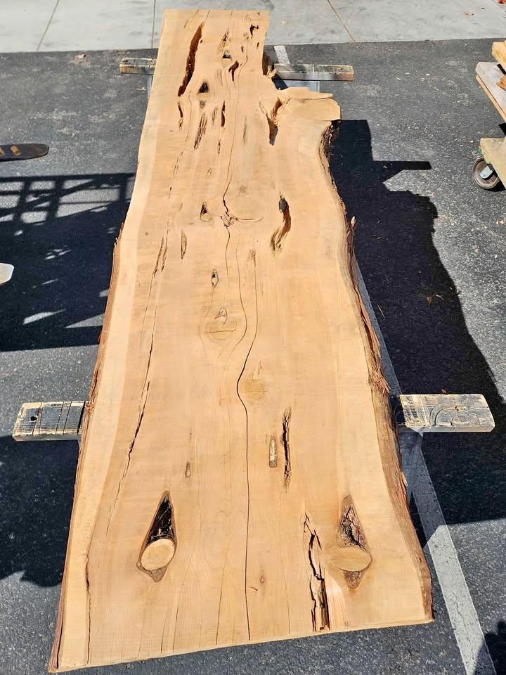 Great Character 9'4" Juniper 3" Thick Slab - Epoxy Project Wood Mantel Table Bartop - Image 1