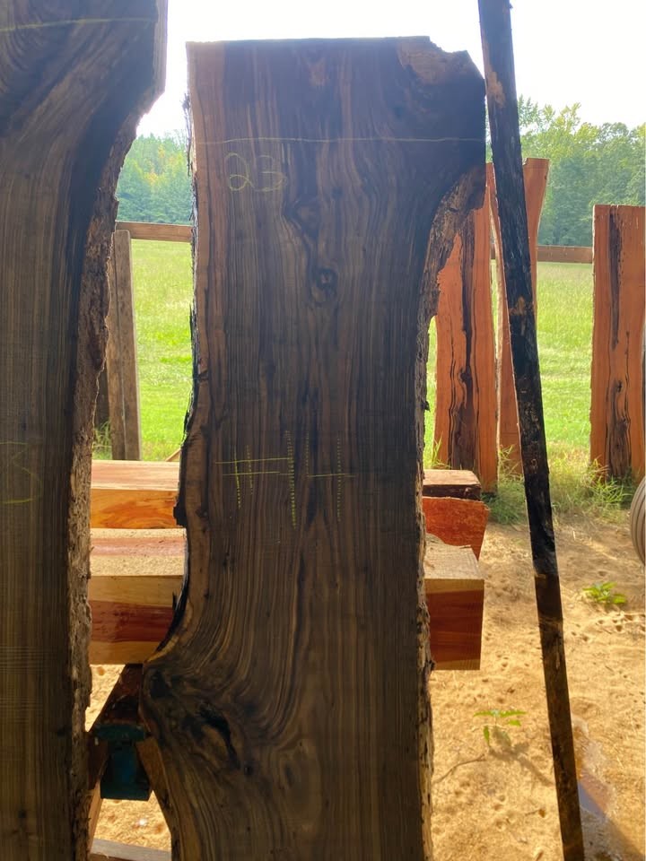 Black Walnut Live Edge Slabs - Image 8