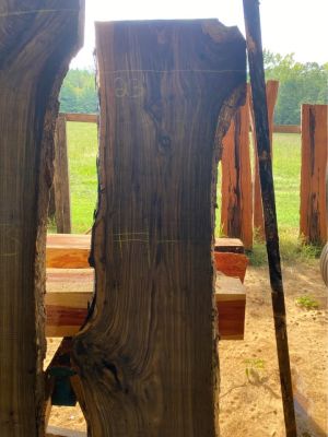 Black Walnut Live Edge Slabs