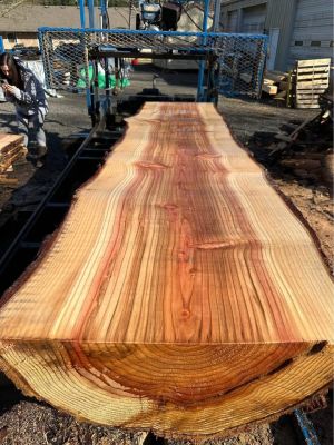 Sequoia Slabs