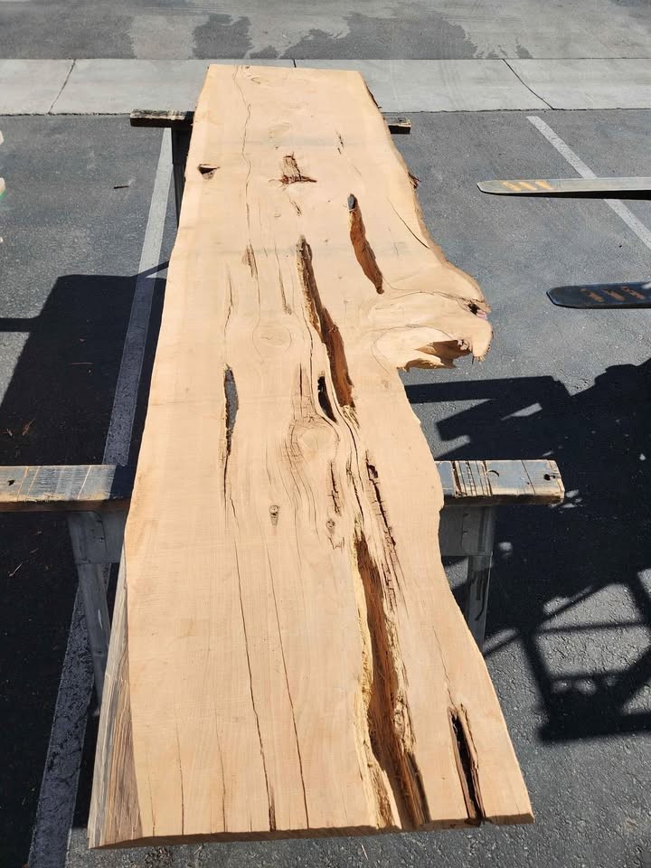 Great Character 9'4" Juniper 3" Thick Slab - Epoxy Project Wood Mantel Table Bartop - Image 7