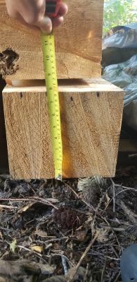 8x8” cedar beams