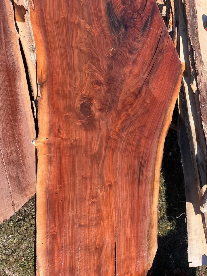 Free Wood Slabs Next Tuesday - Image 2