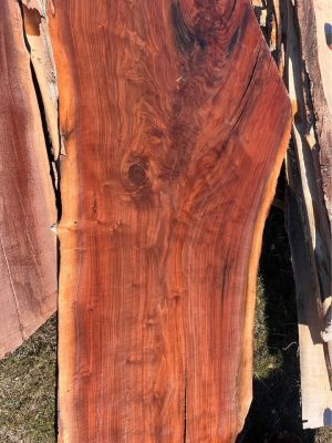 Free Wood Slabs Next Tuesday