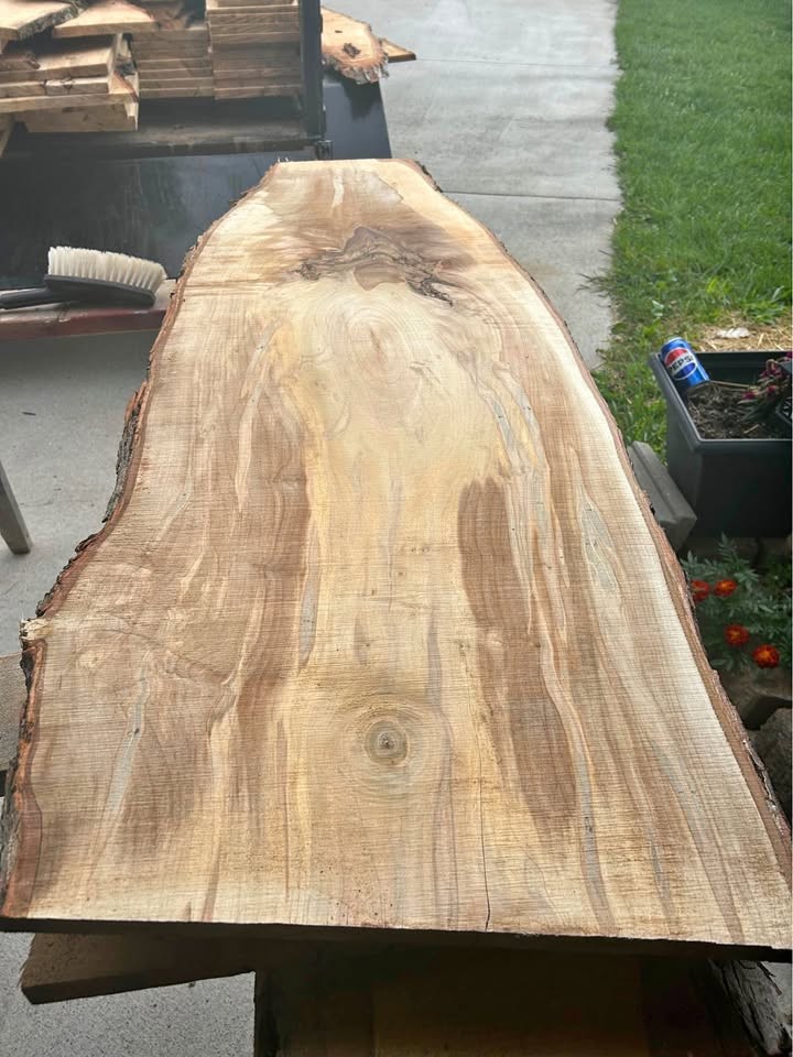 Ambrosia maple live edge slabs