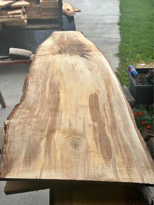 Ambrosia maple live edge slabs