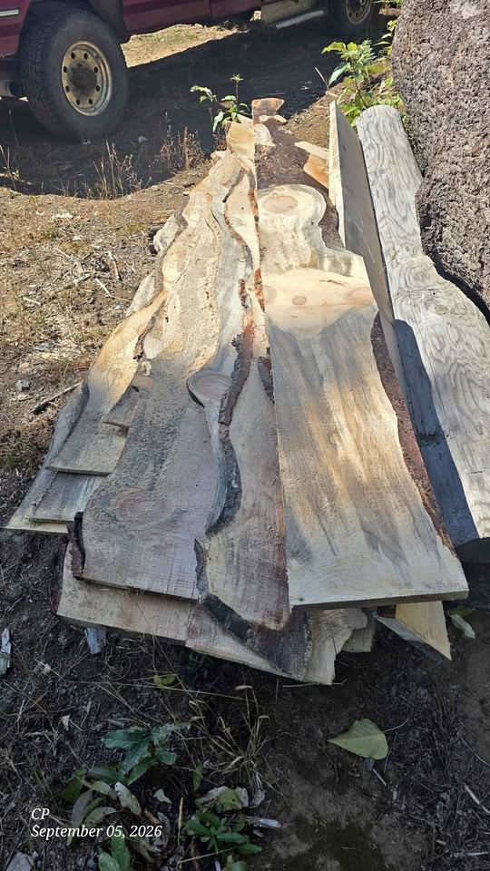 Wood slabs
