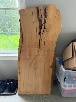 Live Edge Elm Wood Slab