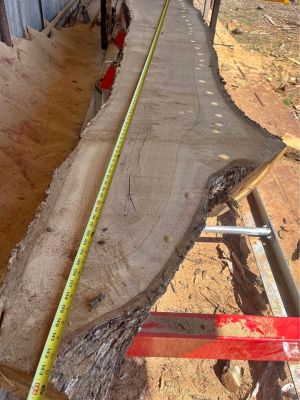 Oak slabs