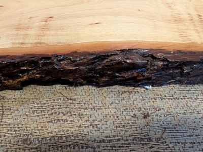 Live Edge Wood Slab