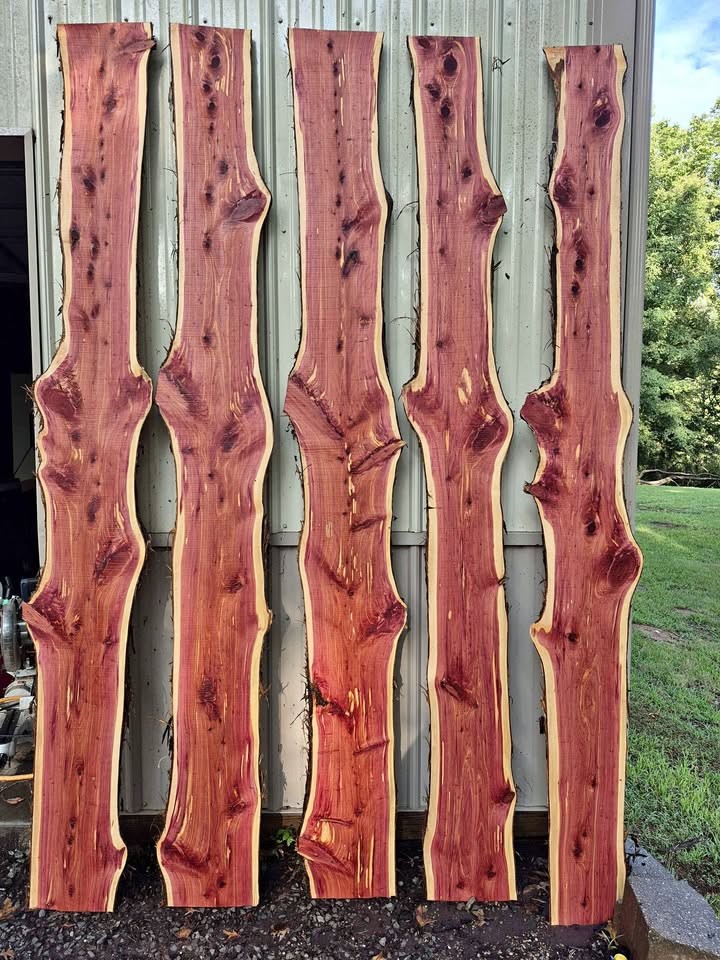 Cedar slabs 1x10x8 $20 each